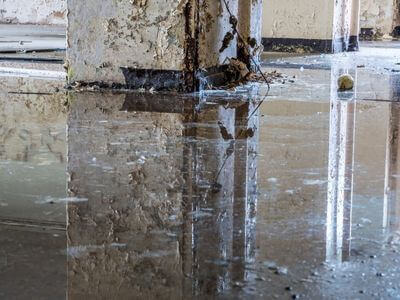 About MendoraFlow - water damage restoration experts in Beverly Hills